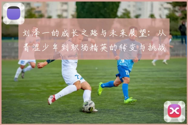 刘泽一的成长之路与未来展望：从青涩少年到职场精英的转变与挑战