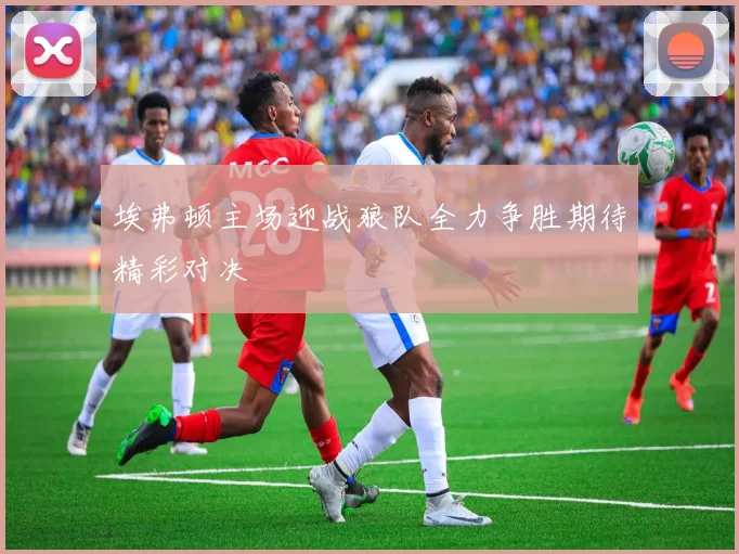 埃弗顿主场迎战狼队全力争胜期待精彩对决