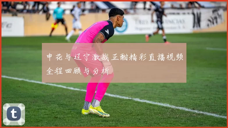 申花与辽宁激战正酣精彩直播视频全程回顾与分析