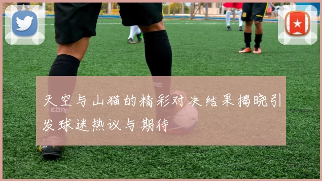 天空与山猫的精彩对决结果揭晓引发球迷热议与期待