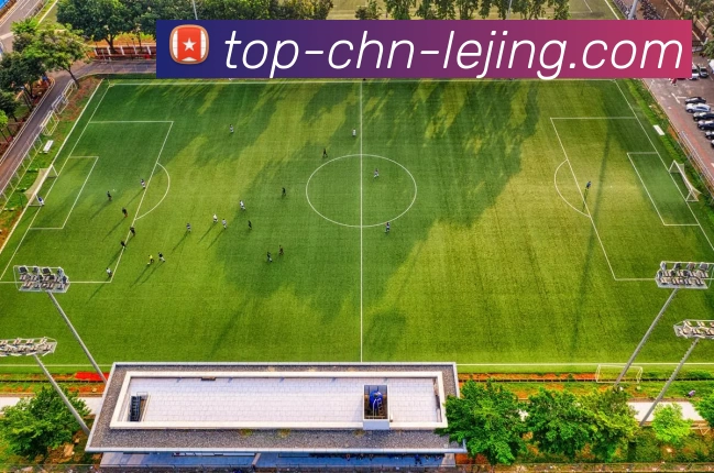 App Interface Preview